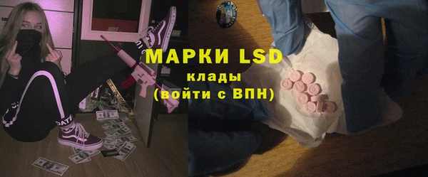 PSILOCYBIN Кедровый