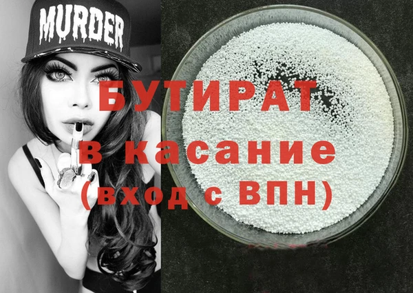 индика Вяземский