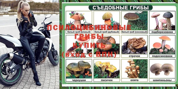 ALPHA PVP Горно-Алтайск