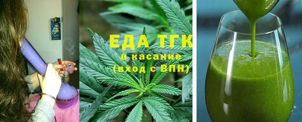 индика Вяземский