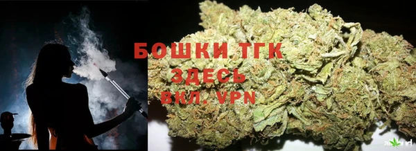 индика Вяземский