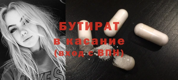 индика Вяземский