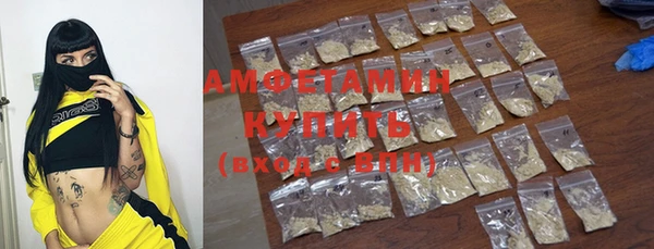 индика Вяземский