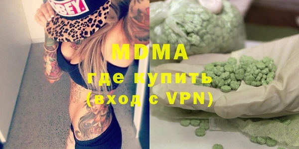 индика Вяземский