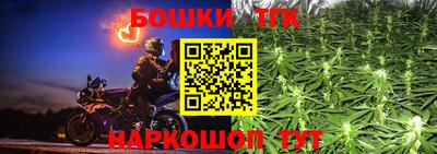 PSILOCYBIN Камышлов
