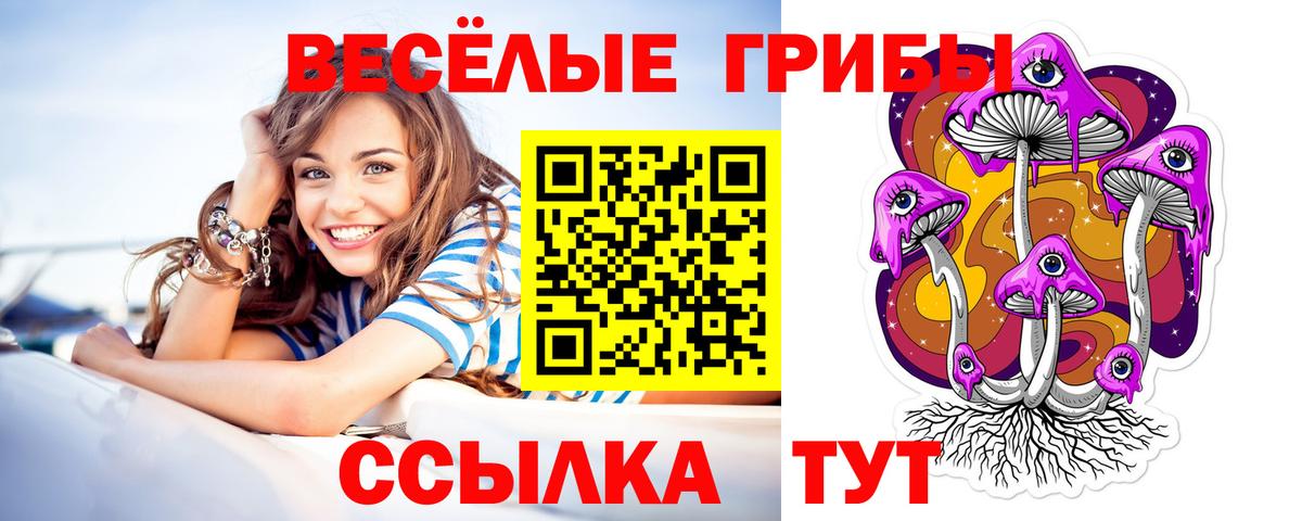 Галлюциногенные грибы Psilocybe  магазин продажи наркотиков  Нерюнгри  Вход с VPN 