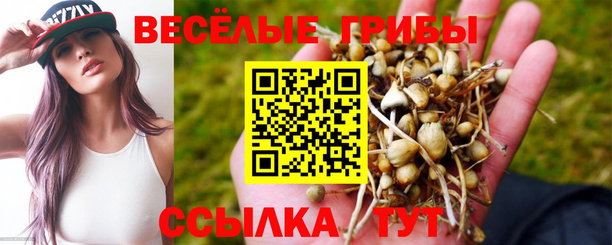 Галлюциногенные грибы мухоморы Нерюнгри