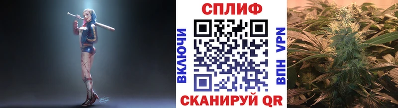 Бошки марихуана конопля  как найти закладки  Нерюнгри 